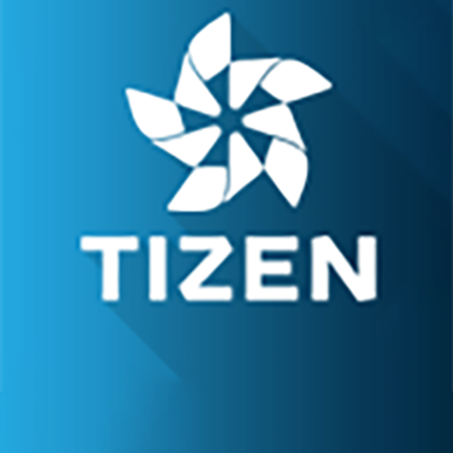 playertizen.png